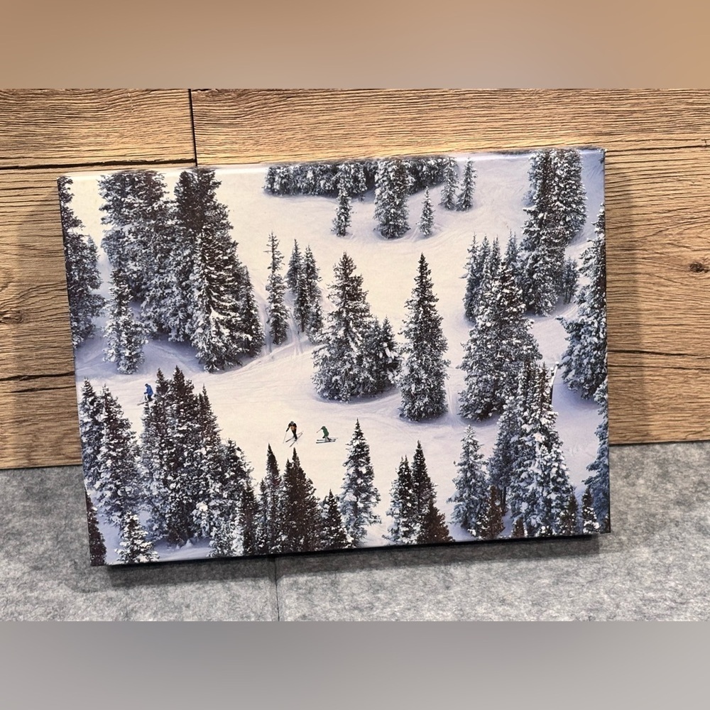 πβοΈπ Gray Malin "The Snow" 500-Piece Puzzleπ βοΈπ - Picture 2 of 6
